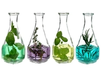 Uçucu Yağlar Kullanımı ve Faydaları Nelerdir? Uçucu Yağlar Kullanımı ve Faydaları Nelerdir?