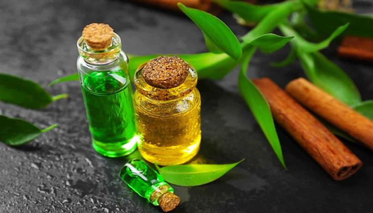 Yeşil Çay Yağı Özellikleri ve Faydaları